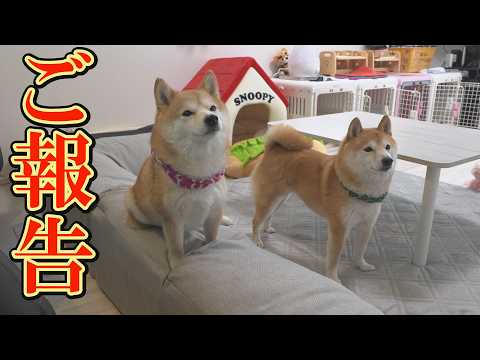 長女の凛に関して、ご報告があります。 サムネイル