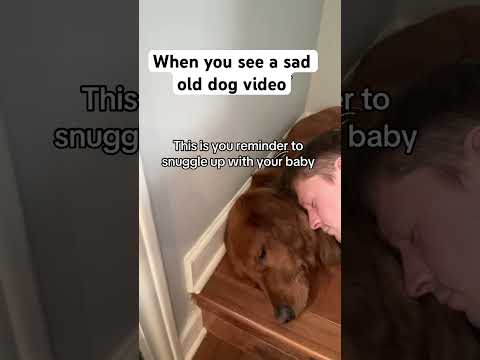 They always come out of nowhere サムネイル