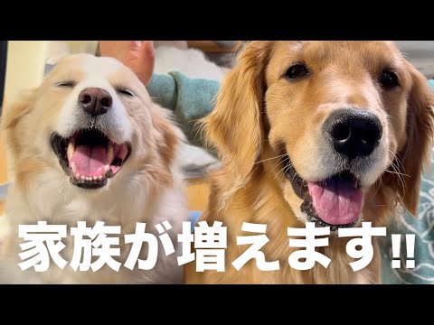 新しい家族を迎えることになりました!!【お迎え準備】 サムネイル