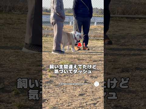 飼い主間違えたブルドッグ、気づいた瞬間のダッシュが可愛すぎた　　　ブルドッグ　犬　かわいい犬 面白い犬 ドッグラン サムネイル