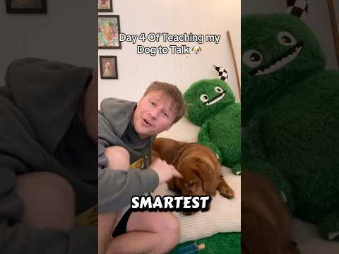 Smartest puppy on the internet! サムネイル