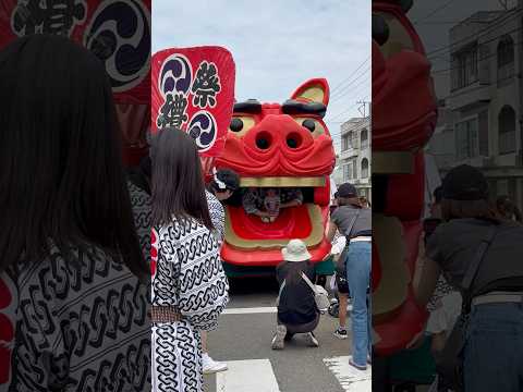 shorts 獅子パックン　酒田祭り本祭りにて　酒田祭り本待つ　2026年５月20日 サムネイル