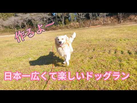 日本一広くて楽しいドッグランを作ります。ゴールデンレトリバーティト サムネイル