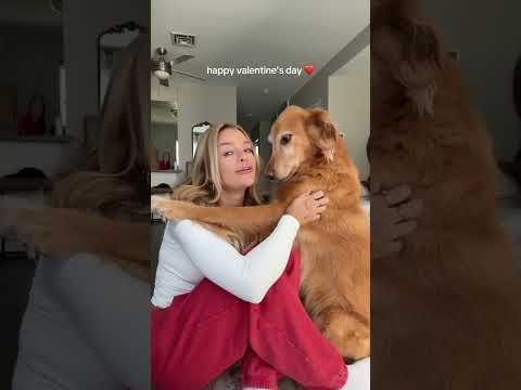 chatting with chicken about people calling him old😎goldenre…