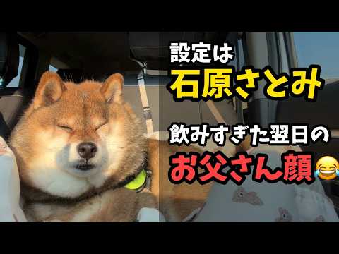 設定は石原さとみのはずが…飲みすぎた翌日のお父さん顔になった柴犬😂