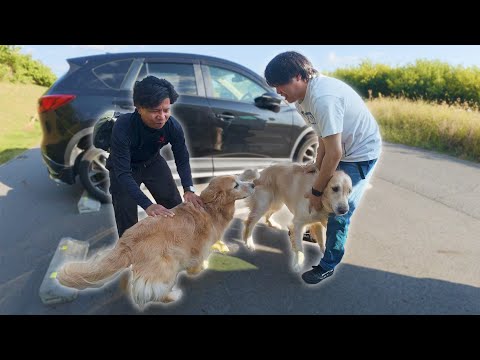 【80日ぶりの再会】何年たっても大好きな人を忘れない愛犬達は喜びを爆発させます。 サムネイル