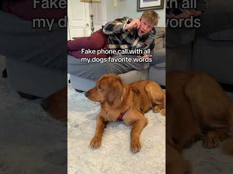 I think he called my bluff 😂 サムネイル