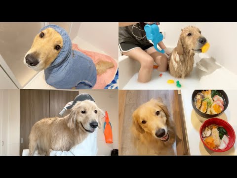 【独身フリーランスと大型犬、年末のドタバタな１日】一緒に手打ちそば サムネイル