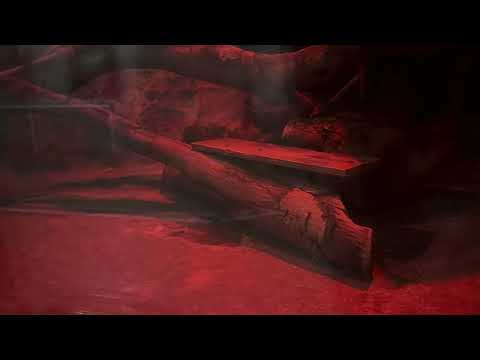 ナイマくん ガラス前まで来てくれます〜　　マヌルネコ　上野動物園にて　2026年2月6日 サムネイル