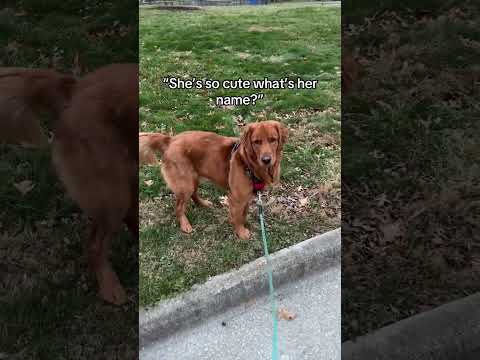 Every time 😅 サムネイル