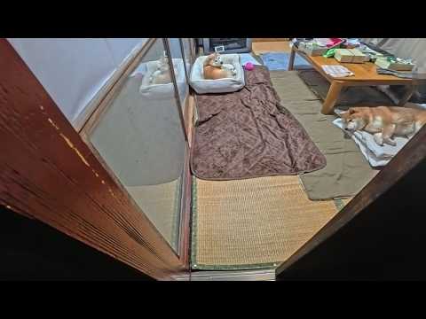 茶の間保育園へお迎えに サムネイル