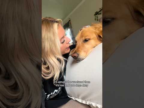 coming home to my golden retriever🥵 goldenretreiver dog ind… サムネイル