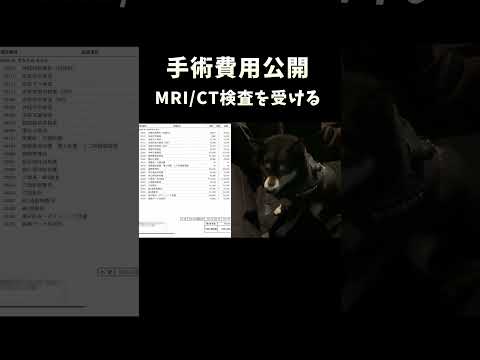 柴犬のMRI/CTの費用が半端ねぇ サムネイル