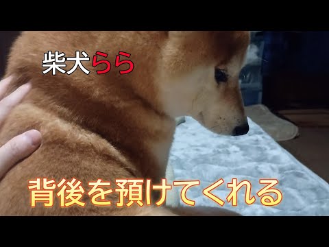 背後を預けてくれる サムネイル