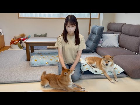 いつも見てくださっている皆さんへ、福のことでご報告があります。 サムネイル