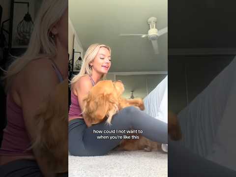 coming home to my golden retriever🥵 goldenretreiver dog ind…