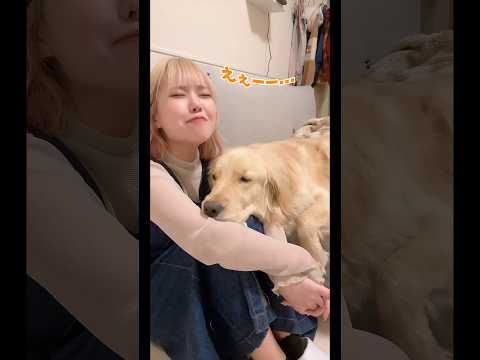 先日唐突にTikTokライブやった時の切り抜き🤣眠かったのか一段とあざとい麹くんでした❤️ゴールデンレトリバー tik… サムネイル