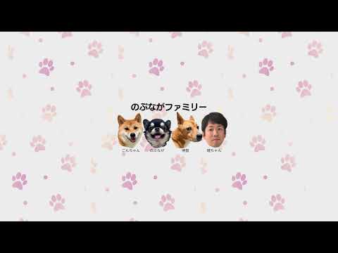 ライブ配信中 サムネイル