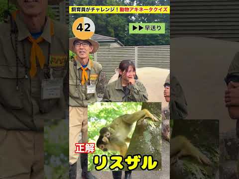 【動物アキネイタークイズ】 サムネイル