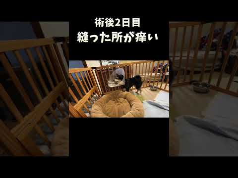 術後2日目縫った所が痒い