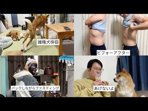 多頭犬のアラフォー飼い主がズボラすぎてまたファスティングしたってよ サムネイル