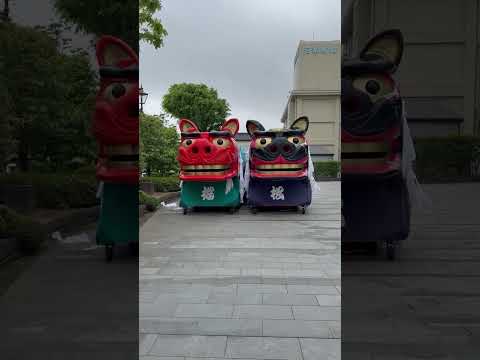 shorts 酒田大獅子桜🌸と松🌲　獅子パックン　酒田まつり サムネイル