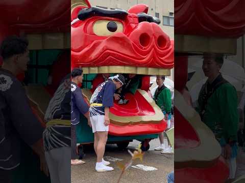 shorts 酒田大獅子桜　獅子パックン　酒田まつり サムネイル