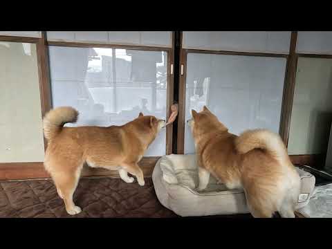 妖怪スキマおやつおじさん サムネイル