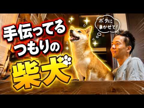 手伝う気は１００点、結果は０点でした サムネイル