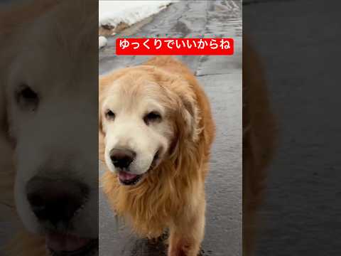 ゆっくりでいいんだよ サムネイル