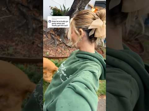 coming home to my golden retriever🥵 goldenretreiver dog ind… サムネイル