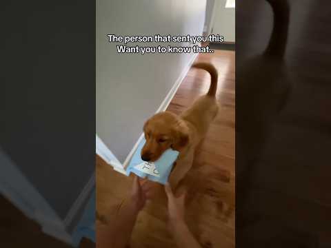 Please don’t be mad at me..