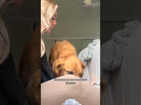 chatting with chicken about people calling him old😎goldenre…