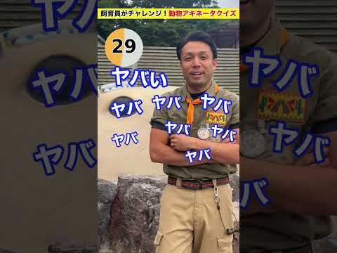 【動物アキネイタークイズ】1分以内で答えられるかな？動物アキネイタークイズに挑戦！ サムネイル