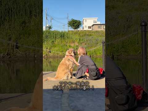 最近いい休憩スポットを見つけました🫶ゴールデンレトリバー 犬と2人暮らし goldenretriever サムネイル