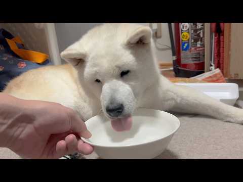 子育て生活３か月目にして最大のピンチが訪れました。 サムネイル