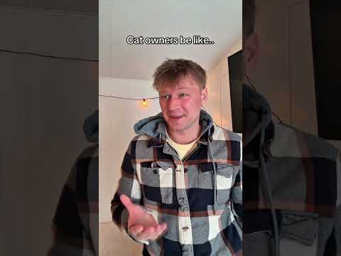 What are dog owners like? サムネイル