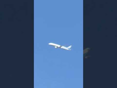 shorts 飛行機　千葉市動物公園にて　2026年4月19日 サムネイル