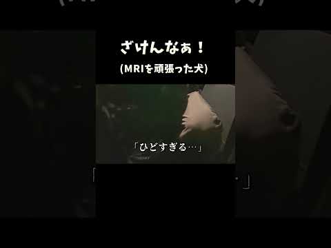 ざけんなぁ サムネイル