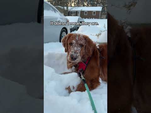 Please spread the word!! サムネイル