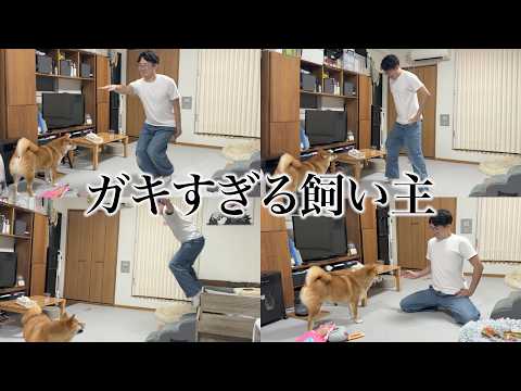 【本格アラフォー突入】この男38歳になりましたが相変わらず子供 犬の方が冷静です