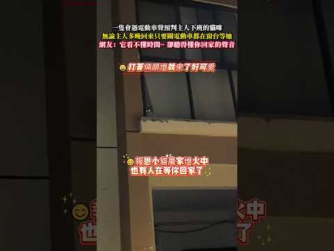 一隻會憑電動車聲預判主人下班的貓咪 無論主人多晚回來只要關電動車都在窗台等她 貓 萌寵 幸福 暖心 大熱門 cat c…