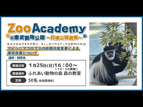 【Zoo Academy @東武動物公園　～日曜公開講座～アビシニアコロブスの給餌内容変更による便状改善について】東武… サムネイル