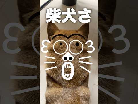 柴犬の絵かき歌 サムネイル