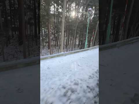 #shorts くらまる号の車窓から　円山動物園へ向かう　2025年12月18日 サムネイル