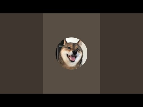 4月5日朝の散歩LIVE サムネイル