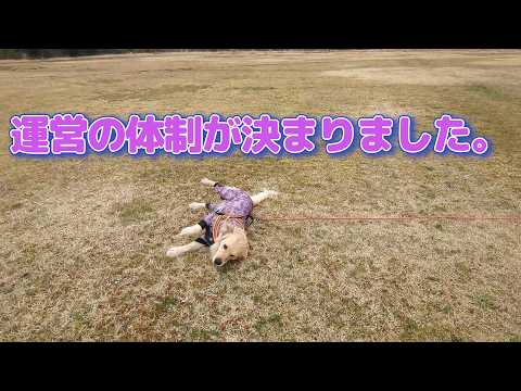 計画の運営が決まりました。ゴールデンレトリバーティト サムネイル