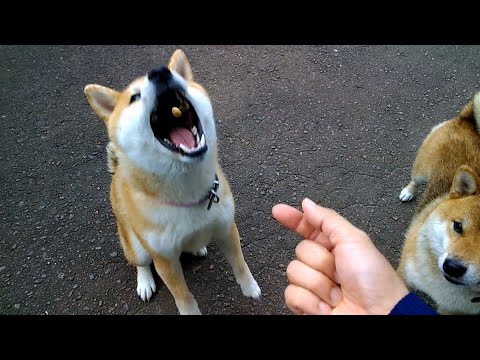 2026年1月25日(日) 朝ごはんアディショナルタイム サムネイル