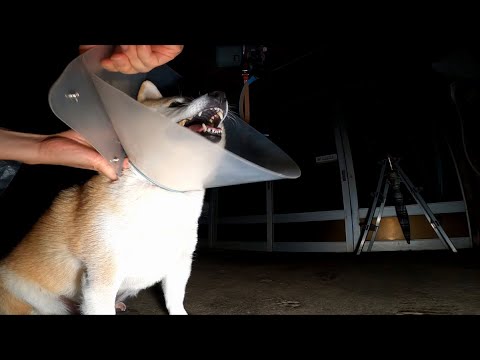 まったく寝る気がない皆さんをナントカしてカントカする深夜23時 サムネイル