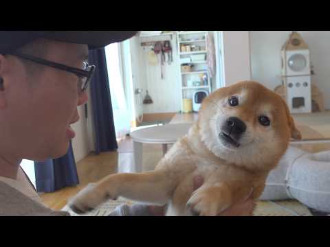 この日、涙が止まりませんでした。